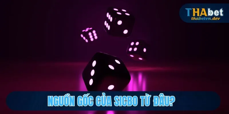 Sicbo Là Gì? Hướng Dẫn Cách Chơi, Cách Cược Sicbo tại Thabet 3 Nguồn gốc trò chơi Tài Xỉu đổi thưởng