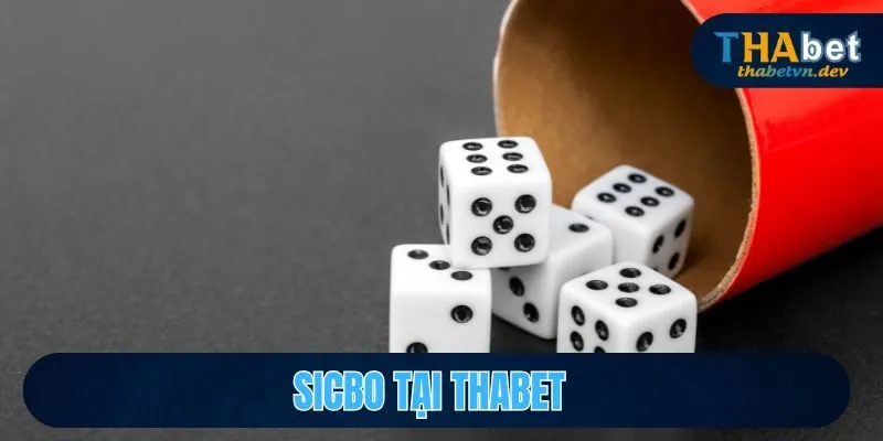 Sicbo Là Gì? Hướng Dẫn Cách Chơi, Cách Cược Sicbo tại Thabet 1 sicbo
